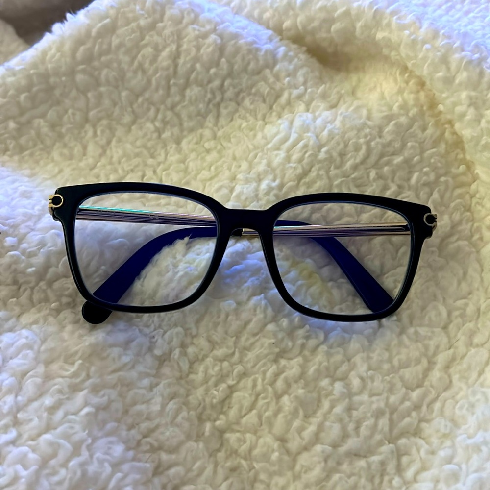 Salvatore Ferragamo optical frames